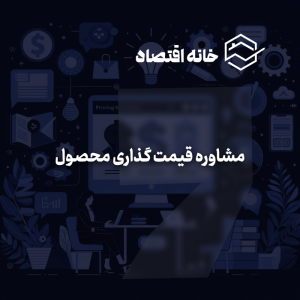 مشاوره قیمت‌گذاری محصول